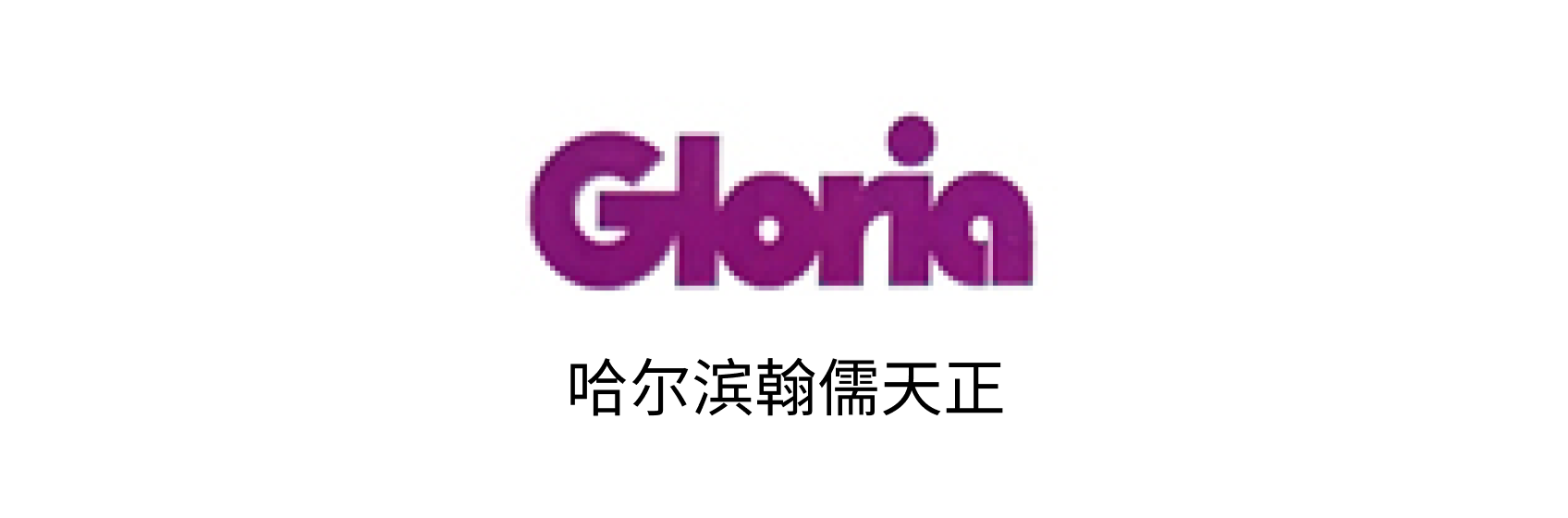 哈尔滨翰儒天正信息技术有限公司 (1).png